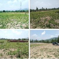  Agricultural Land for Sale in Dhaulas, Dehradun