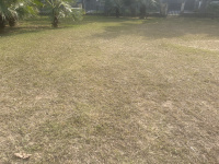  Agricultural Land for Sale in Gobindgarh, Fatehgarh Sahib