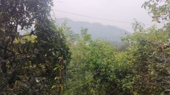 3 BHK Farm House for Sale in Mulshi, Pune