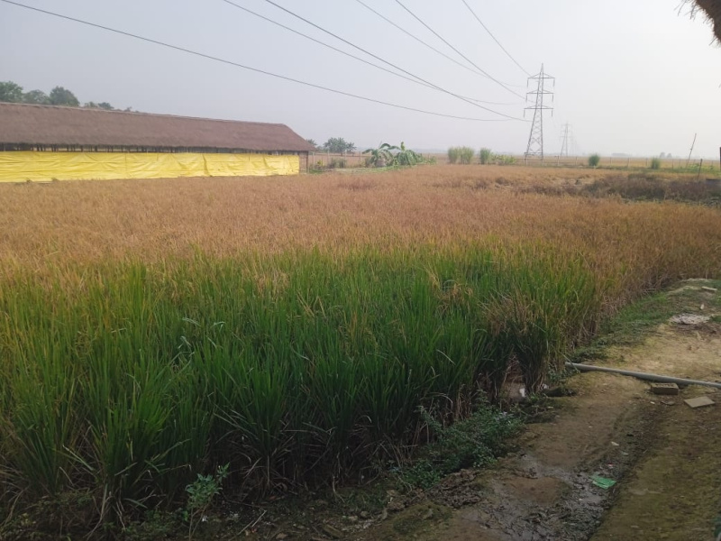  Residential Plot 6 Bigha for Sale in NH 37, Guwahati