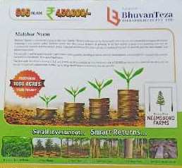  Agricultural Land 605 Sq. Yards for Sale in Narayankhed, Sangareddy