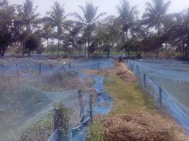 Agricultural Land for Sale in Tambaram, Chennai
