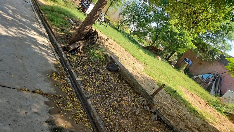  425 Sq. Yards Residential Plot for Sale in Badsa, Jhajjar