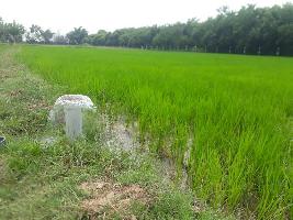  Agricultural Land for Sale in Just 15 drivr from kanchipuram, Kanchipuram, Kanchipuram