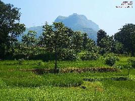  Agricultural Land for Rent in Mahad, Raigad