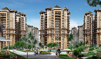 2 BHK Flat for Rent in Sector 88 Faridabad