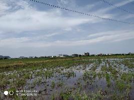  Agricultural Land for Sale in Gollapudi, Vijayawada