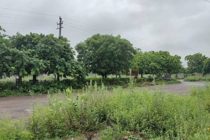 Residential Plot 250 Sq. Yards for Sale in Sector 7, Sonipat
