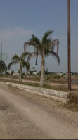 Residential Plot for Sale in Nardaha, Raipur