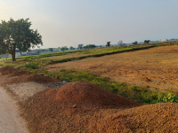  Agricultural Land for Sale in Dharampura, Raipur