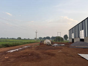  Industrial Land for Sale in Mandir Hasaud, Raipur