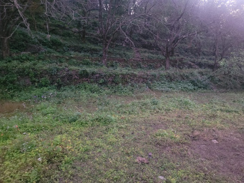  Commercial Land for Sale in Dumartara, Raipur