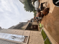  Residential Plot for Sale in Amlidih, Raipur