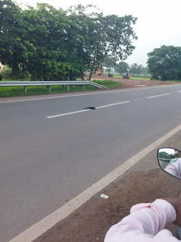  Industrial Land for Sale in Naya Raipur, Raipur