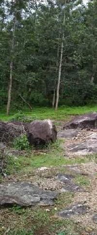  Agricultural Land for Sale in Mudigere, Chikmagalur