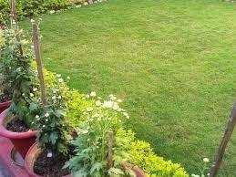 1 BHK Farm House for Sale in Sitapur Road, Lucknow