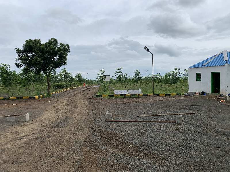  Agricultural Land 605 Sq. Yards for Sale in Narayankhed, Sangareddy