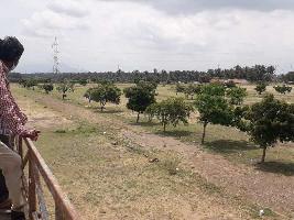  Residential Plot for Sale in Pappampatti, Coimbatore