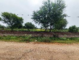  Agricultural Land for Rent in Mahindra SEZ, Jaipur