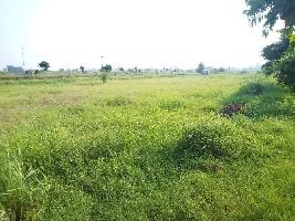  Residential Plot for Sale in Mullanpur, Ludhiana