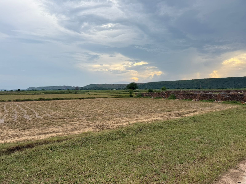  Agricultural Land 40 Bigha for Sale in Naugaon, Alwar