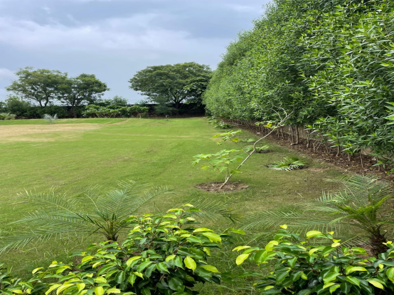 3 BHK Farm House 400 Sq. Yards for Sale in Sohna, Gurgaon