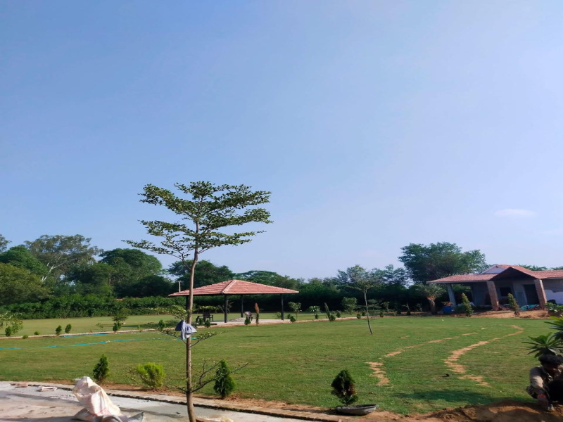  1 Acre Agricultural/Farm Land for Sale in Sohna, Gurgaon