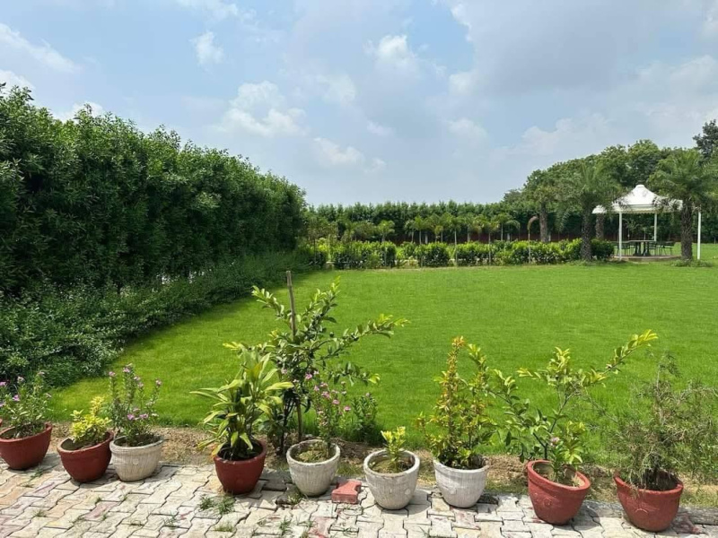  1 Acre Agricultural/Farm Land for Sale in Sohna, Gurgaon
