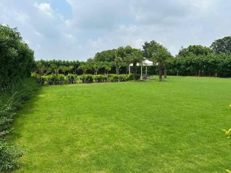  1 Acre Agricultural/Farm Land for Sale in Sohna, Gurgaon