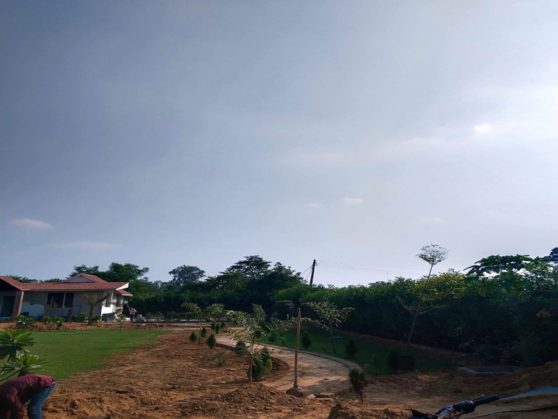  1 Acre Agricultural/Farm Land for Sale in Sohna, Gurgaon