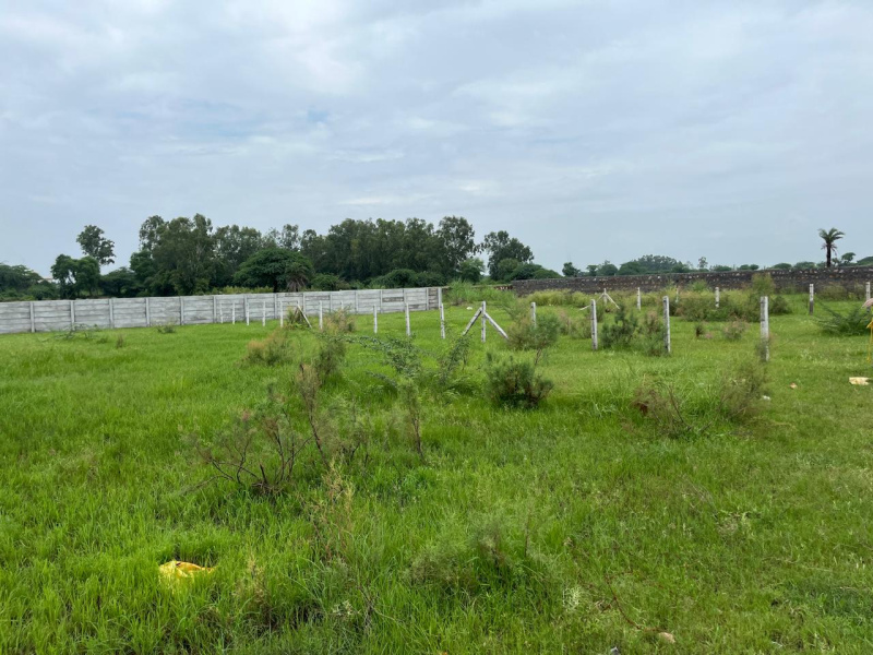  1 Ares Agricultural/Farm Land for Sale in Sohna, Gurgaon