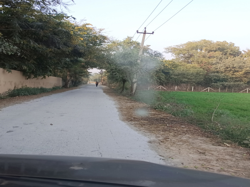  1 Acre Agricultural/Farm Land for Sale in Sohna Road, Gurgaon
