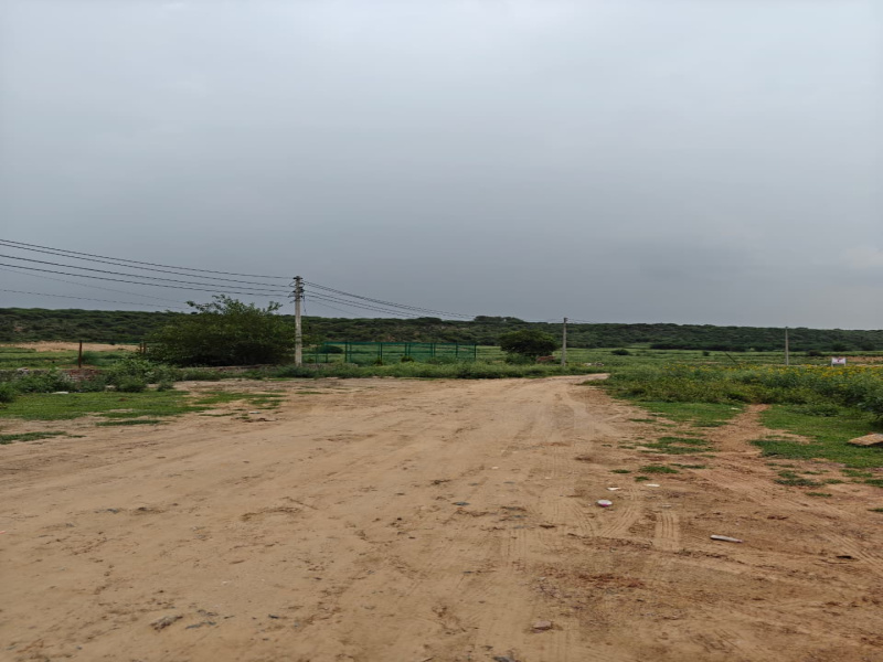  2500 Sq. Yards Agricultural/Farm Land for Sale in Sohna, Gurgaon