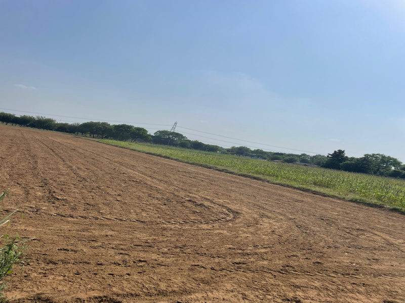  8 Acre Agricultural/Farm Land for Sale in Sohna, Gurgaon