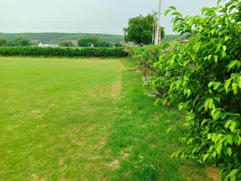  1 Acre Agricultural/Farm Land for Sale in Sohna, Gurgaon