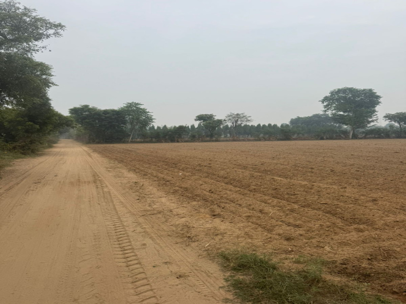  1 Acre Agricultural/Farm Land for Sale in Sohna, Gurgaon