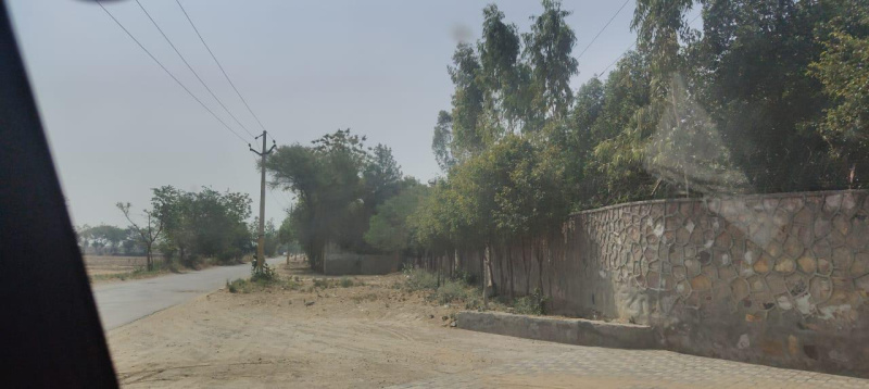  2500 Sq. Yards Agricultural/Farm Land for Sale in Sohna, Gurgaon