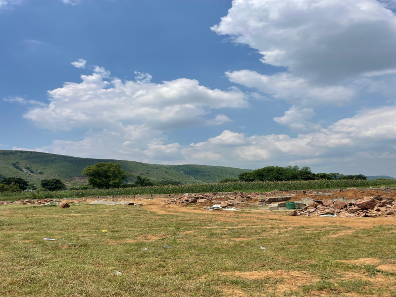  35 Bigha Agricultural/Farm Land for Sale in Naugaon, Alwar