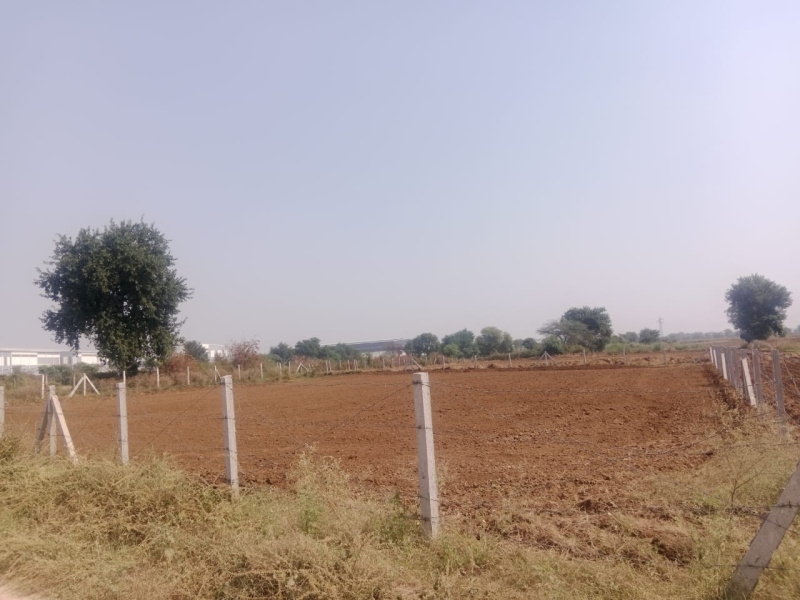  10 Bigha Agricultural/Farm Land for Sale in Naugaon, Alwar