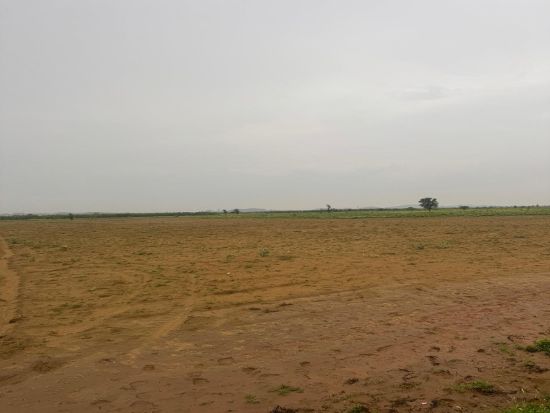 35 Bigha Agricultural/Farm Land for Sale in Ferozepur Jhirka, Nuh