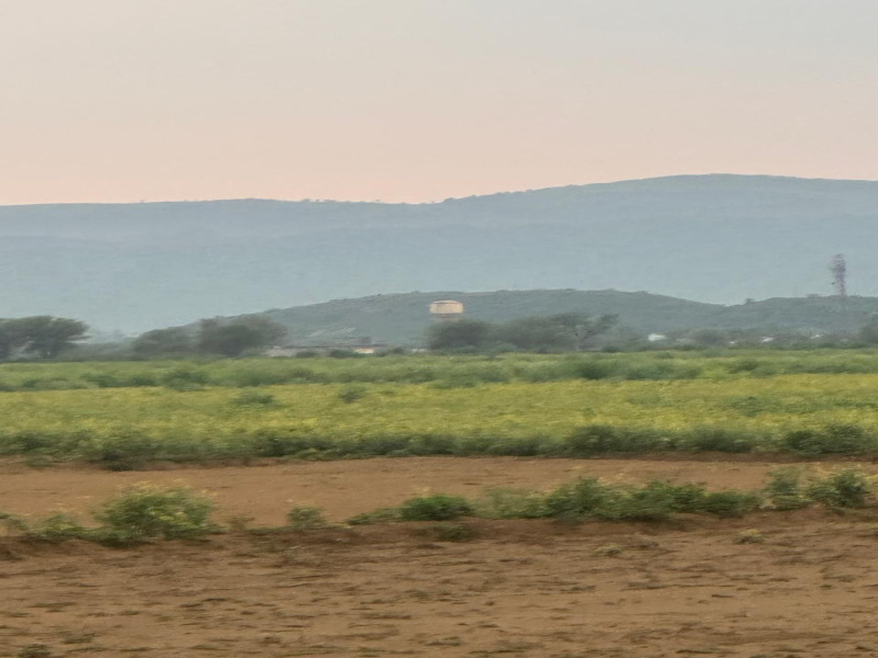  35 Bigha Agricultural/Farm Land for Sale in Ferozepur Jhirka, Nuh