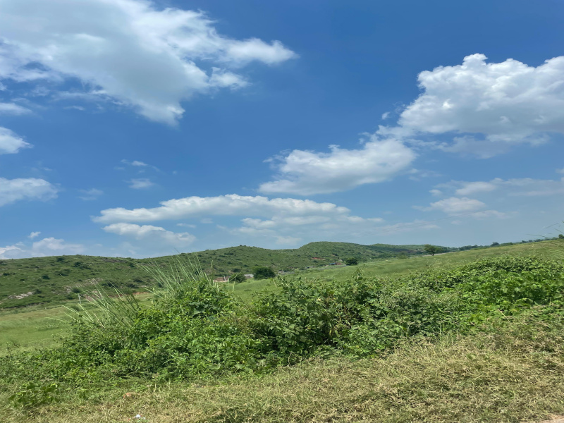  10 Bigha Agricultural/Farm Land for Sale in Naugaon, Alwar