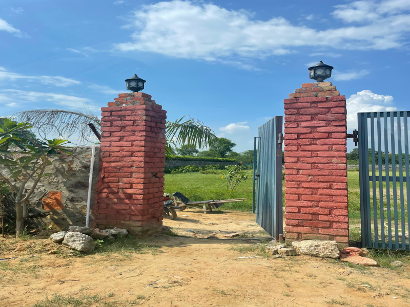  5 Bigha Agricultural/Farm Land for Sale in Naugaon, Alwar