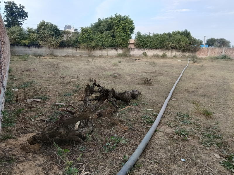  1 Acre Agricultural/Farm Land for Sale in Sohna, Gurgaon