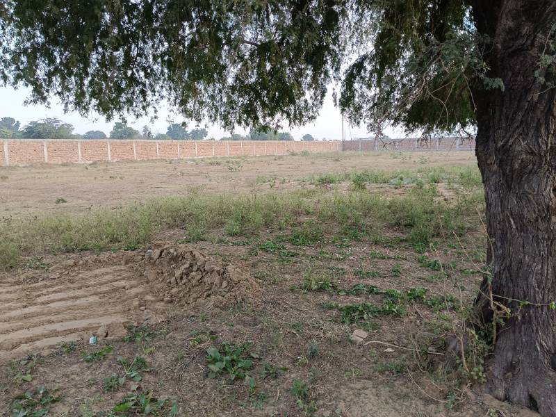  1 Acre Agricultural/Farm Land for Sale in Sohna, Gurgaon