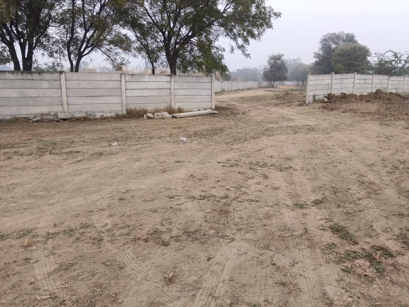  150 Sq. Yards Agricultural/Farm Land for Sale in Sohna, Gurgaon