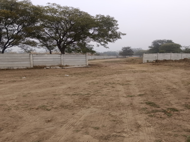  150 Sq. Yards Agricultural/Farm Land for Sale in Sohna, Gurgaon
