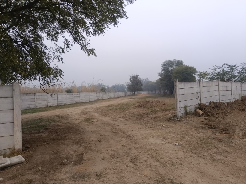  1450 Sq. Yards Agricultural/Farm Land for Sale in Sohna, Gurgaon