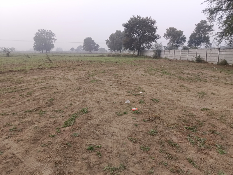  1450 Sq. Yards Agricultural/Farm Land for Sale in Sohna, Gurgaon