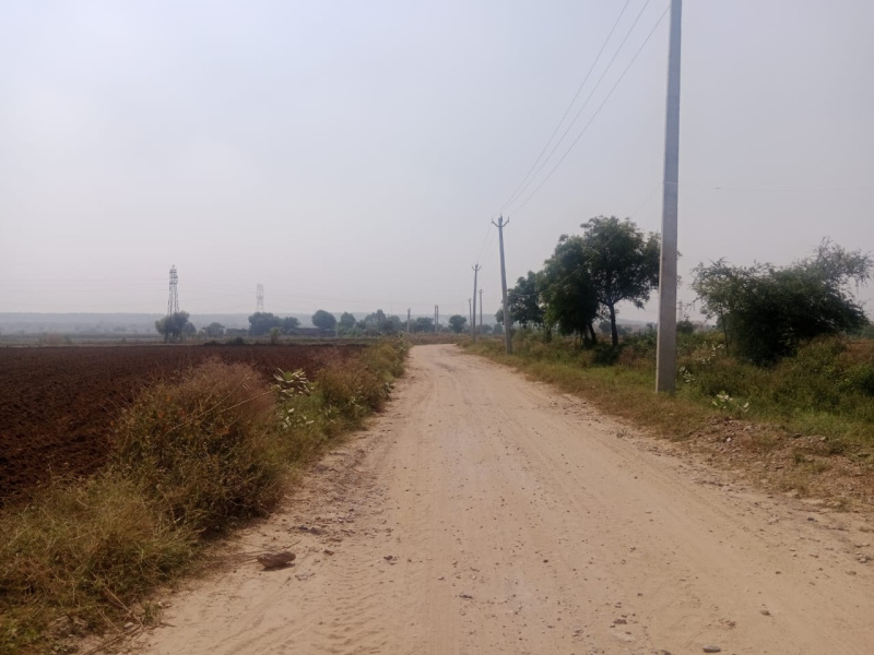  1450 Sq. Yards Agricultural/Farm Land for Sale in Sohna, Gurgaon